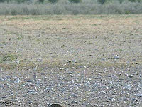 Mud Maps Africa Namibia 0666.JPG